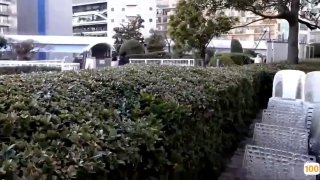 久久视频精品店免费